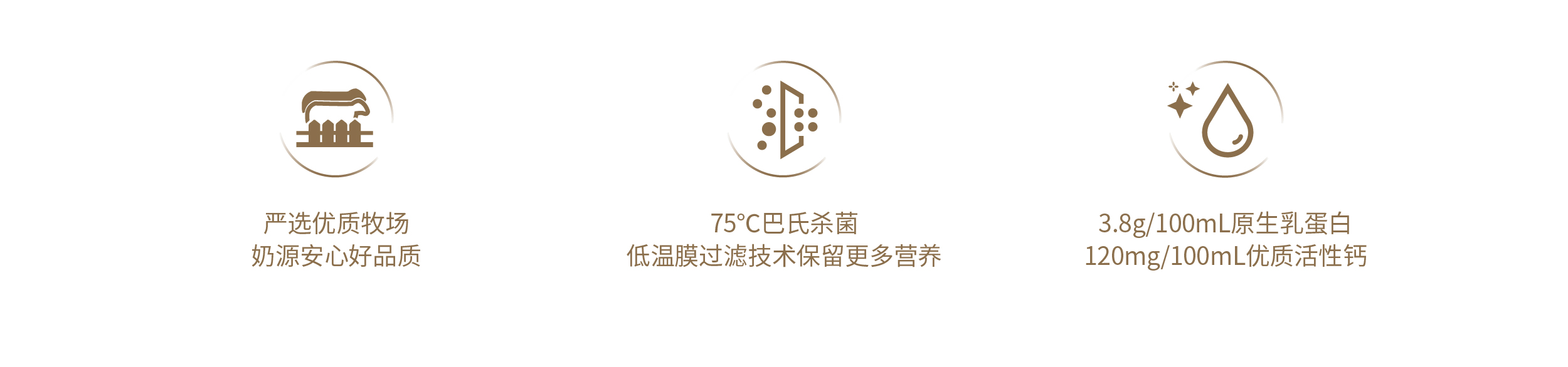 普通鲜奶icon.jpg